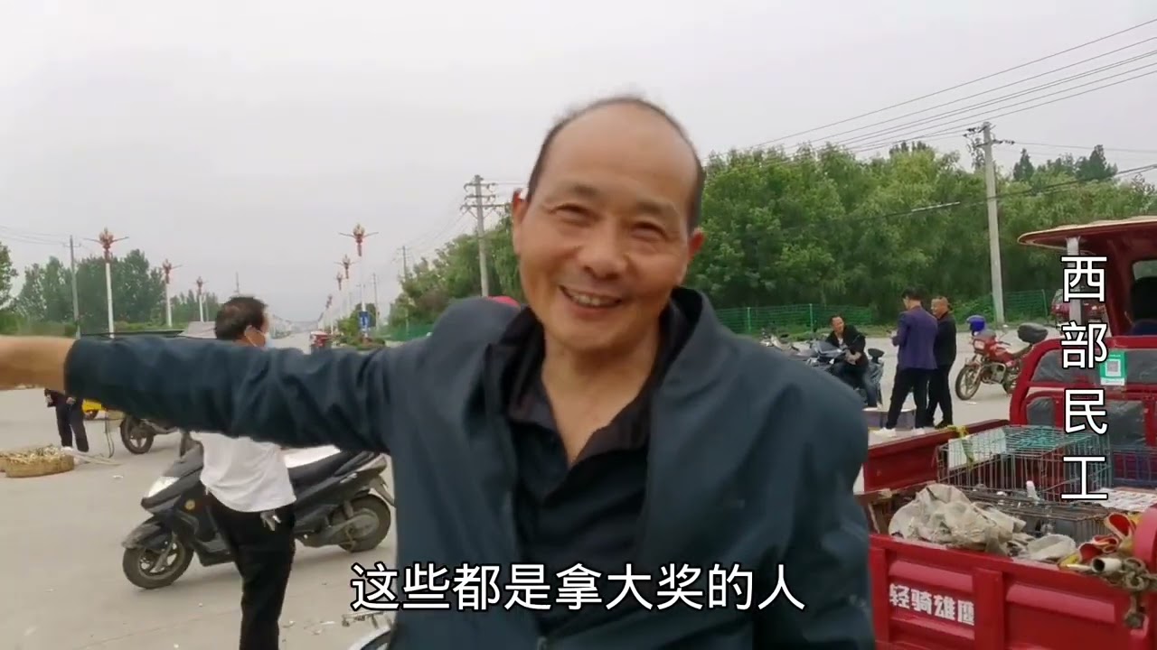 汉中大叔痴迷养鸽成疯，信鸽放飞获奖几百万，揭秘养鸽子怎么赚钱