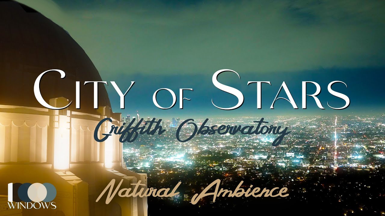Griffith Observatory Overlook | Real Ambience for Love Sleep Study Relaxation 4K Nature Background