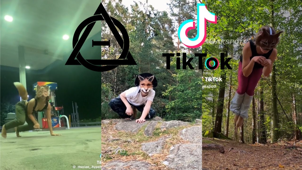Therian and Quadrobics TikToks || Compilation 🐾🍂 || Alterhumans of TikTok #44