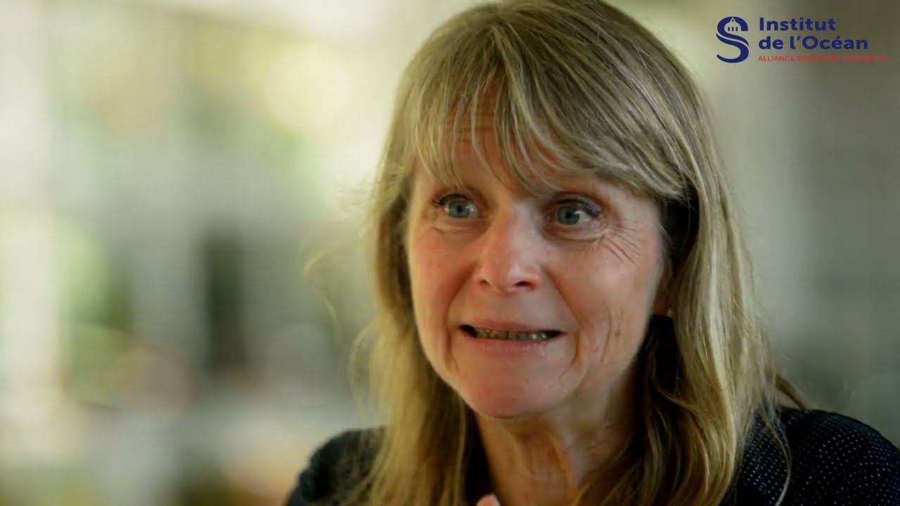 Interview de Laure Bonnaud-Ponticelli sur les poulpes