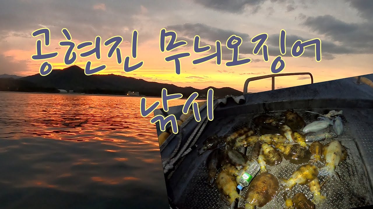 초보무늬조사님과  무늬 오징어 팁런 낚시 episode-18