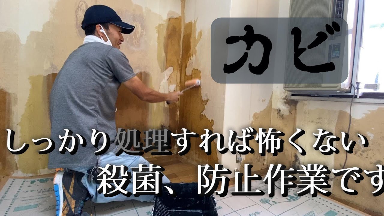 カビ処理編　頑固なカビも、しっかり処理してから壁紙を貼りましょう！おまけのたまちゃんチャレンジもみてくださいね！