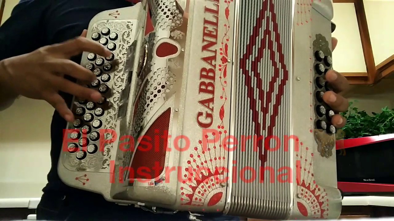 PASITO PERRON acordeon Instruccional