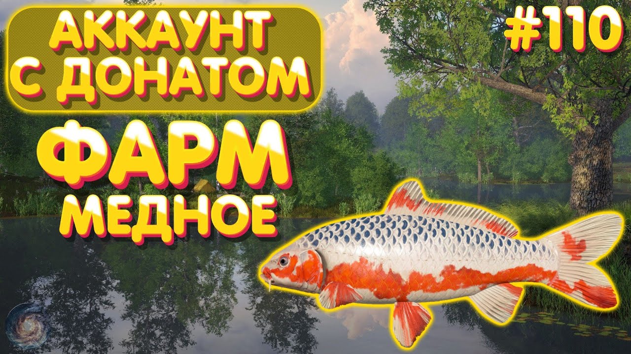 Аккаунт с донатом #110 | ФАРМ - Медное | Кои + Немец | Русская Рыбалка 4