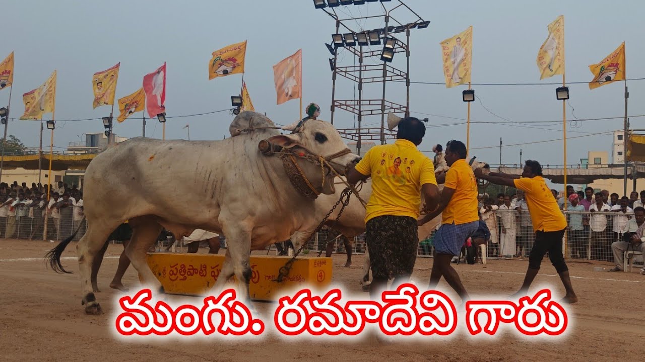 చిలకలూరిపేట న్యూ కేటగిరి 1వ మంగు. రమాదేవి గారు ఇర్లపాడు గ్రామం పల్నాడు జిల్లా..