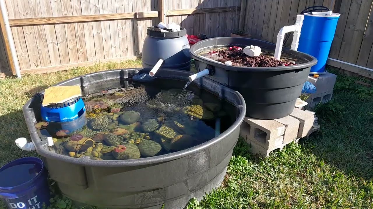 300 gallon stock tank pond with bog filter December 2023