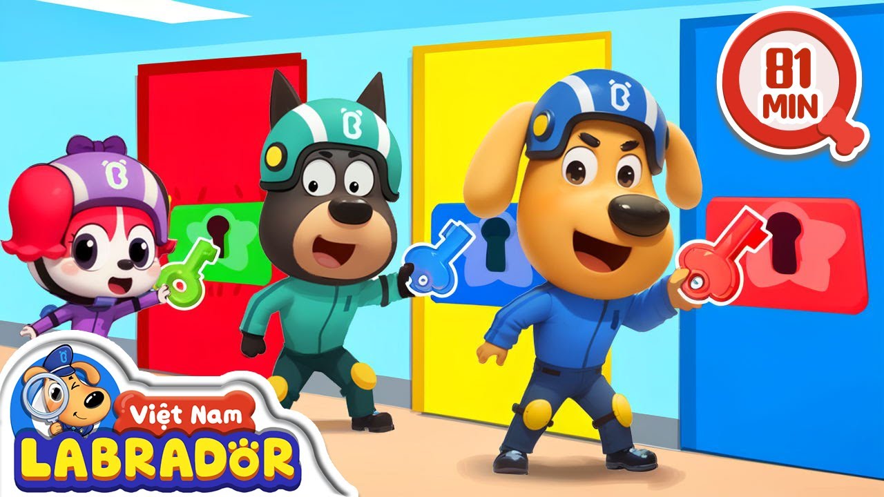 🎪 Căn phòng bí mật 🥋 Labrador luyện tập thể chất 👮 Cảnh sát trưởng Labrador Vietnam 🚔