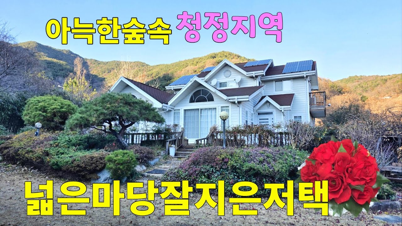 No.290 급매가 마당넓은 저택 건축 당시 잘지은 주택 규모가 큰 전원주택 산이 아늑하게 두룬 청정지역 산속마을 정원수 가득 정남향 