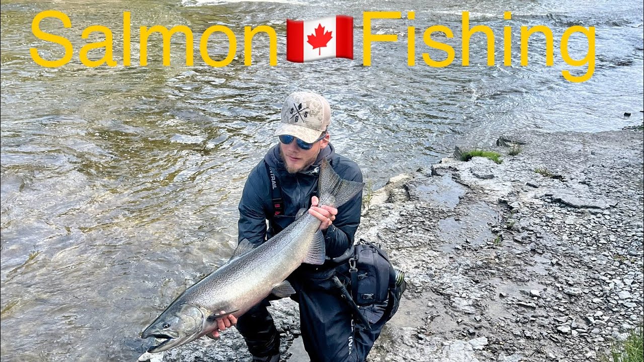 Salmon🇨🇦Fishing in Port Hope Canada Nature and Wildlife Channel
