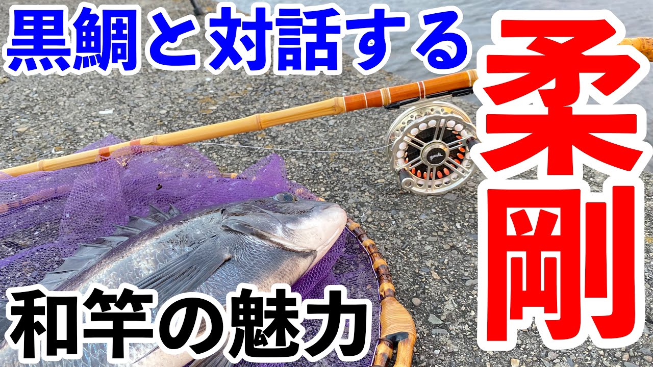 【ヘチ釣り】黒鯛と対話する和竿の魅力！柔よく剛を制す！