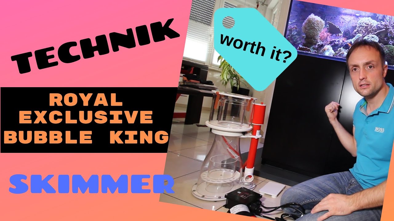 Meerwasseraquarium Abschäumer / Unboxing Royal Exclusiv Bubble King® Double Cone 200 mit Speedy RD3