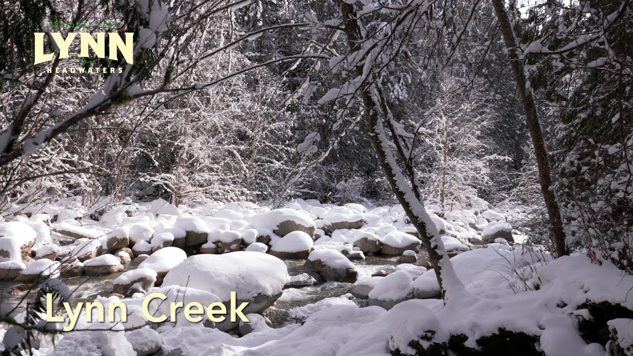 Lynn Headwaters Park Profile - Winter Conditions