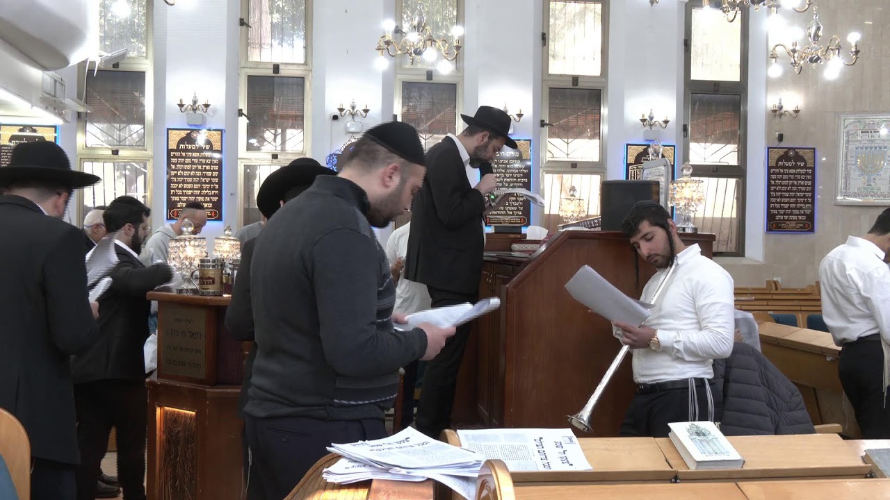 שבעה כורתי ברית