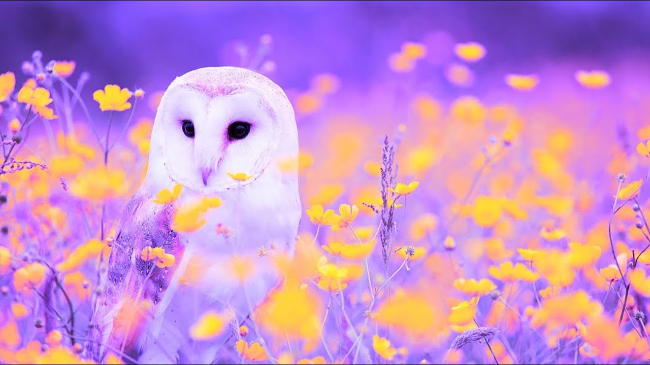 Enhance Self Love | 432Hz Miracle Healing Music | Enhance Positive Energy | Ancient Frequency Music