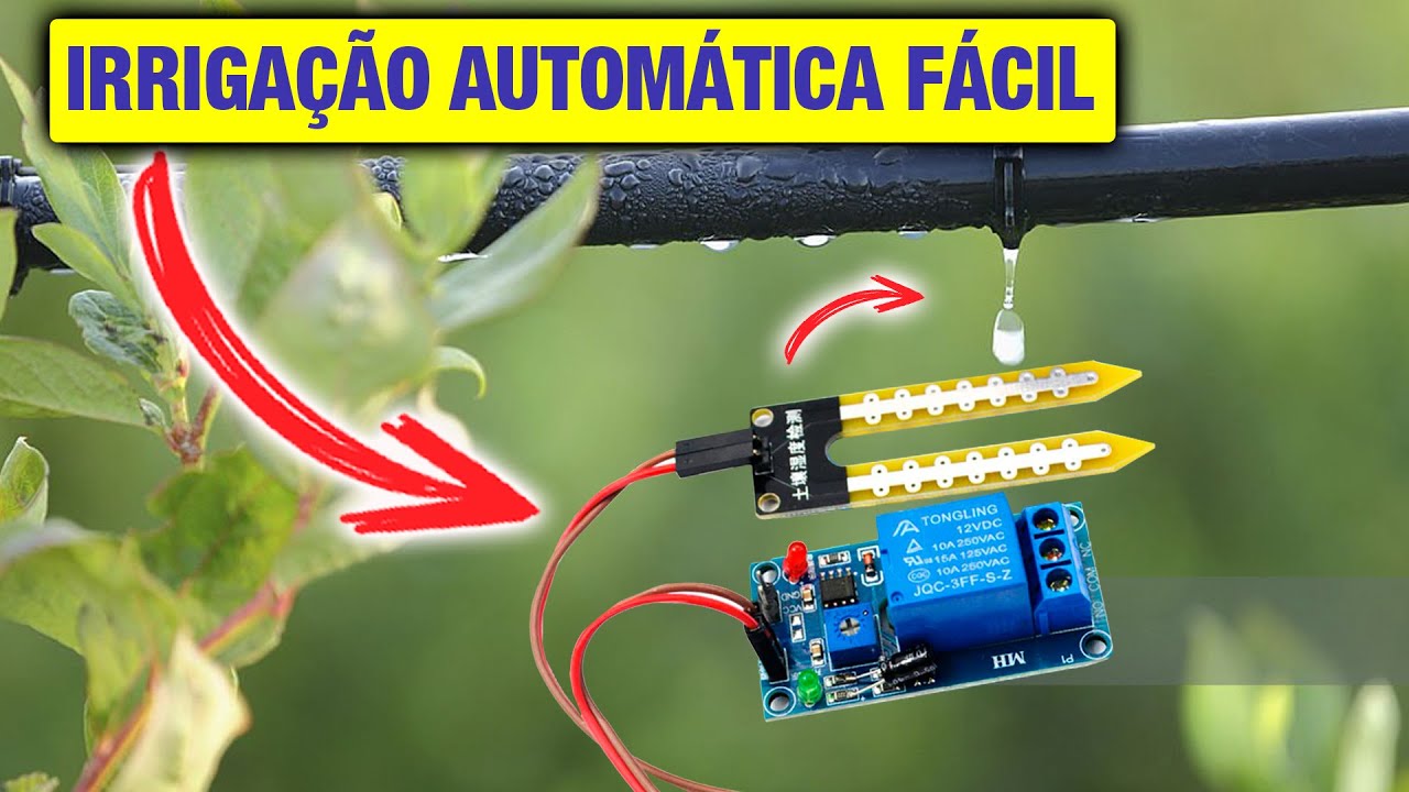 Irrigação AUTOMÁTICA para suas Plantas e sua Horta | Fácil de Fazer