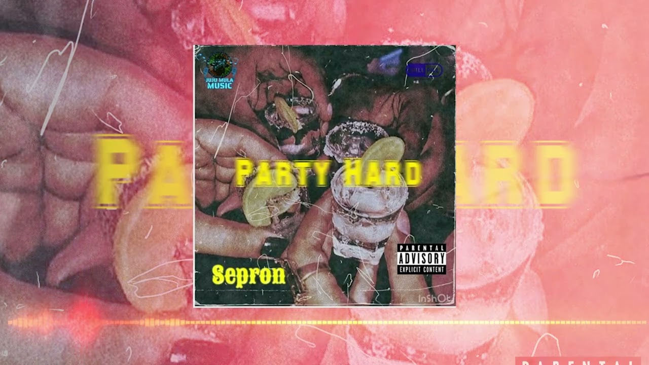 Sepron - Party Hard | Official Music Audio |
