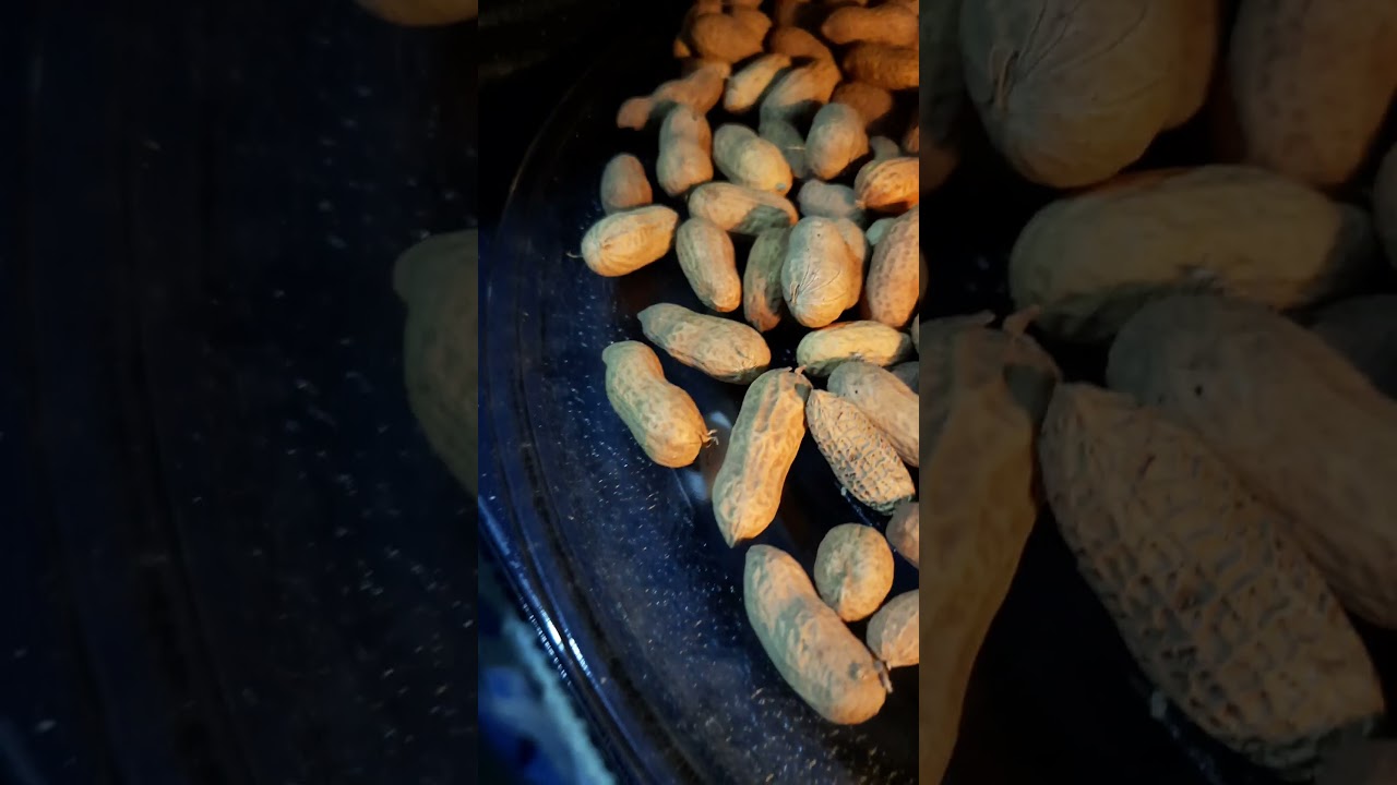 how to roast peanuts 🥜 in microwave in just 6 minutes #shorts #views #viral #tasty #everything