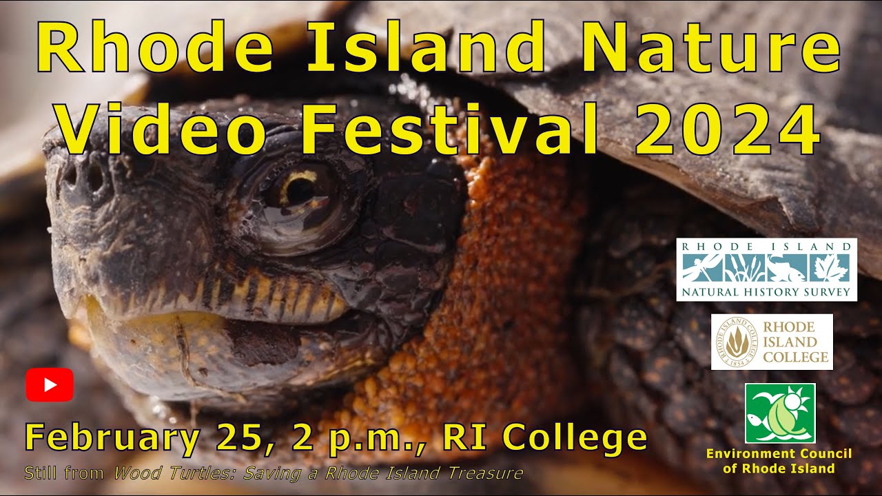 Rhode Island Nature Video Festival 2024