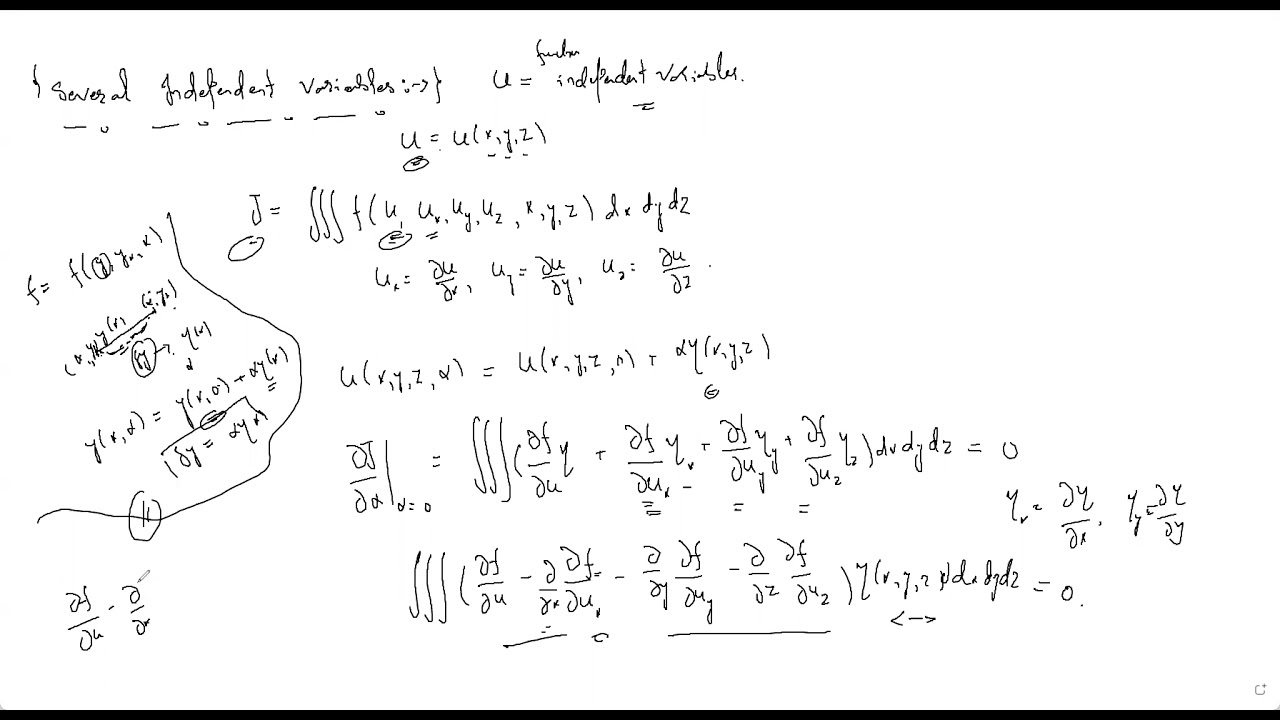 Euler Equation for Several Dependent and Independent Variables