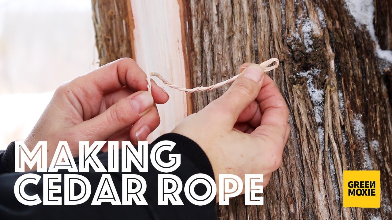 How to make cedar bark cordage or rope