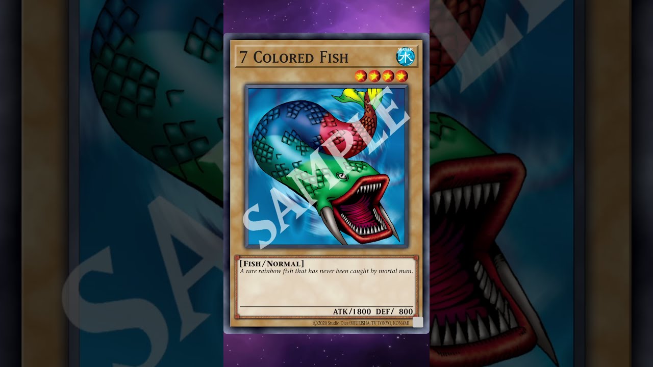 4446: No One Can Truly Tell How Many Colors This Special Rainbow Fish Has #ygo #discussion #new