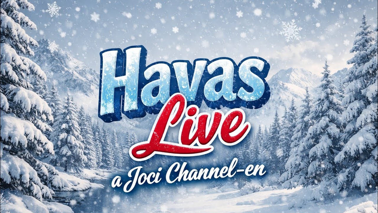 Havas Live Debrecen Főteréről 🥶#youtube #shorts #debrecen #snow