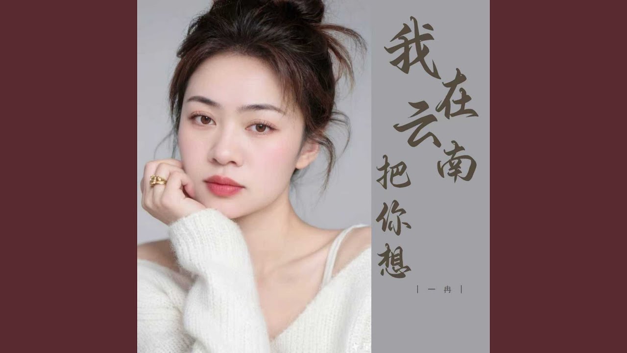 我在云南把你想 (Dj版)