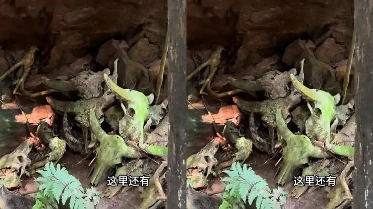 探秘中國雲南蟲谷！一行五人深入探索，跟著我的視角觀看歷史的痕跡#探險中國毛毛 #戶外爬山徒步 #徒步 #戶外爬山 #戶外登山徒步