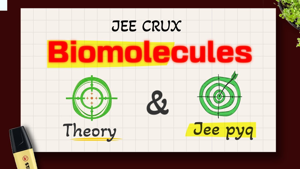 Biomolecules: Concepts+PYQs | Guaranteed +4 Marks| JEE Crux