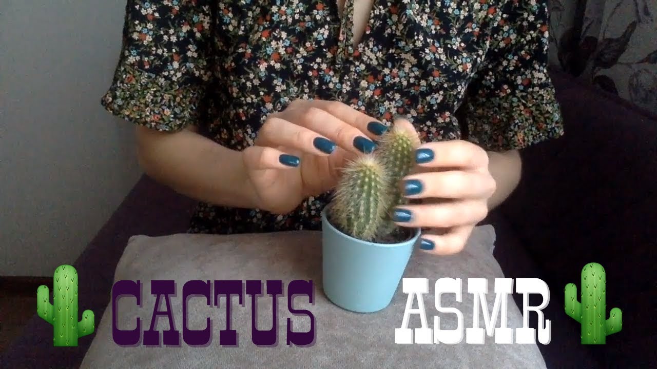 ASMR Cactus Sounds 🌵 Soft sounds for relaxation and night sleep 🌵 no talking