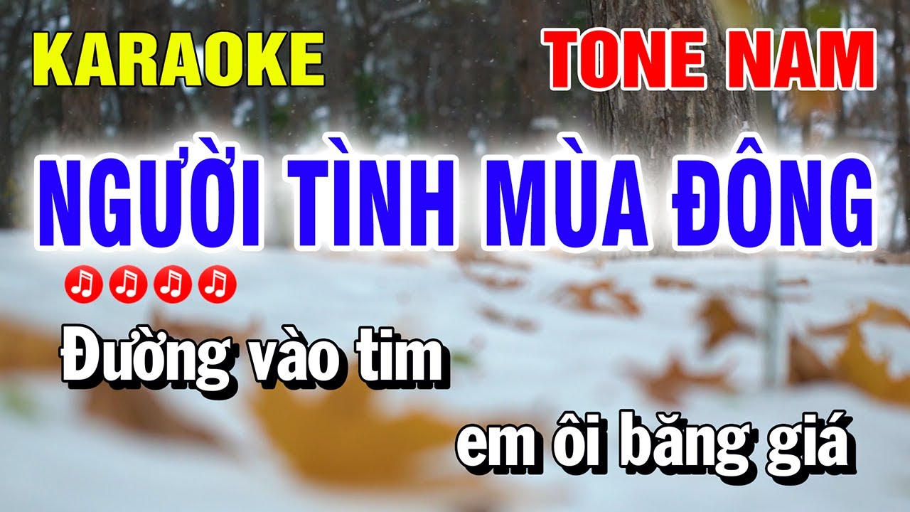 Karaoke Người Tình Mùa Đông Tone Nam Nhạc Sống Beat Mới | Nguyễn Linh
