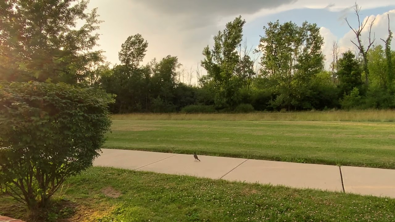 Thunder in the distance and summer shower