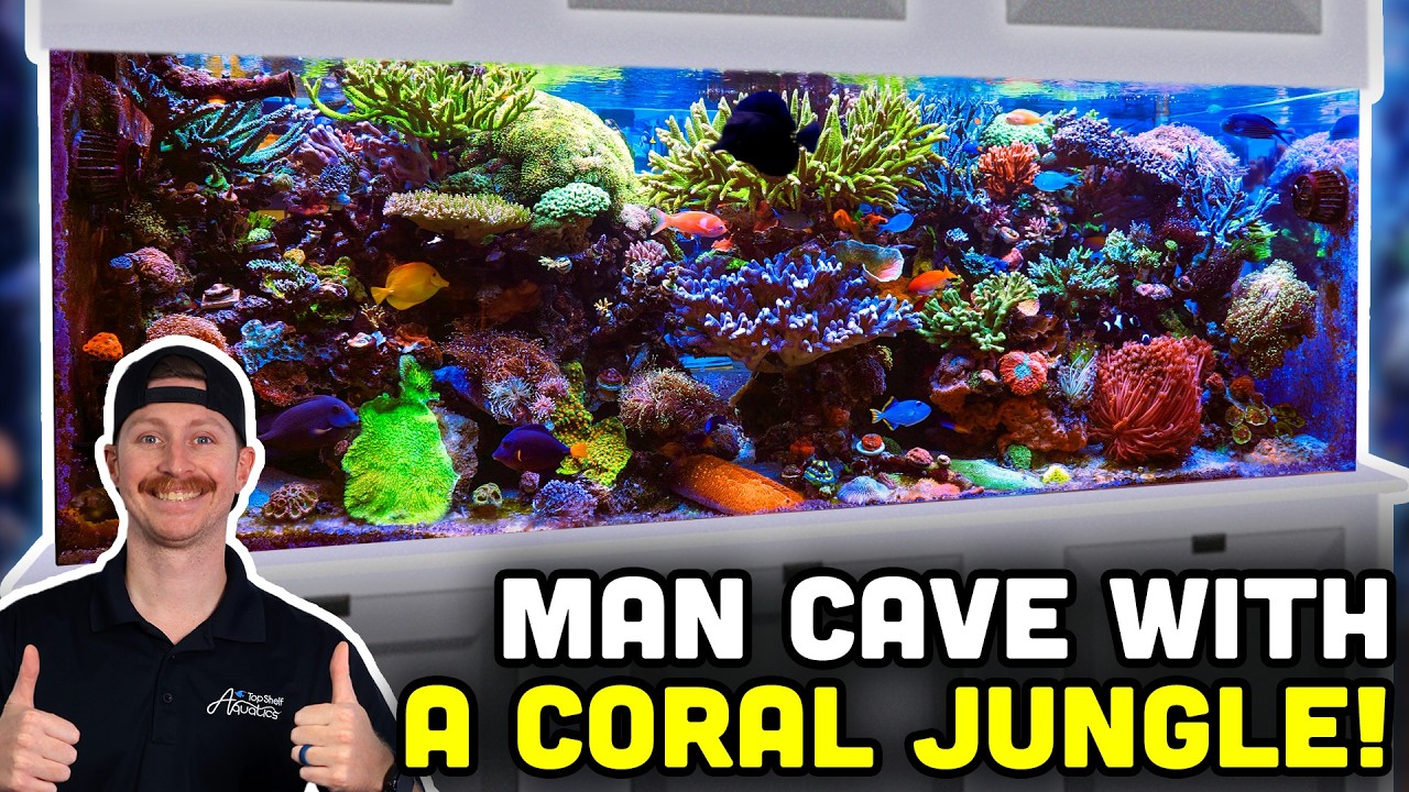 Nearly 10 Year Old 450 Gallon Saltwater Tank! Tips for a Mature System!