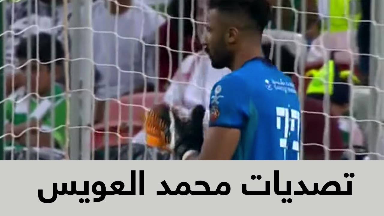 ملخص جميع تصديات الحارس 
