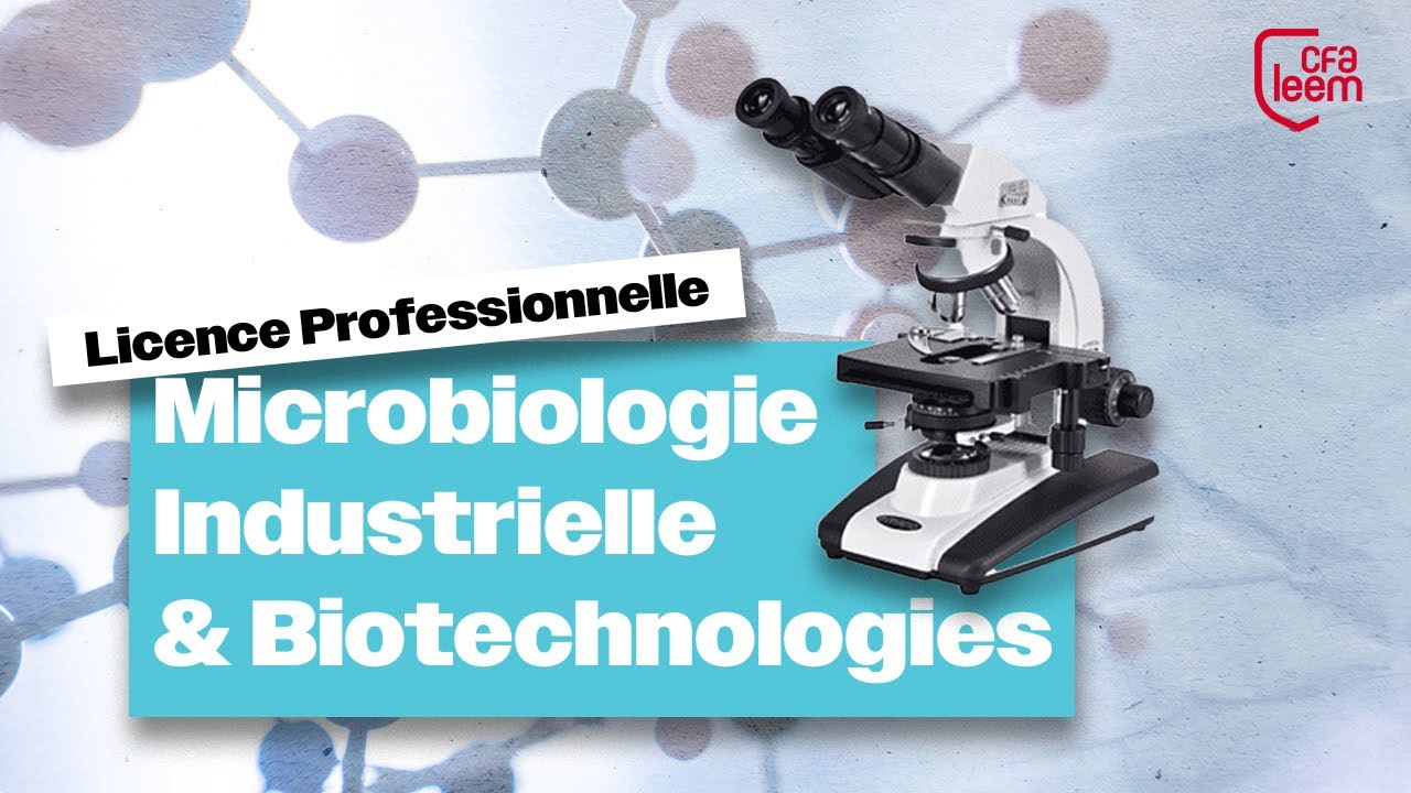 Licence Professionnelle Microbiologie Industrielle et Biotechnologiques - CFA Leem x Paris Cité
