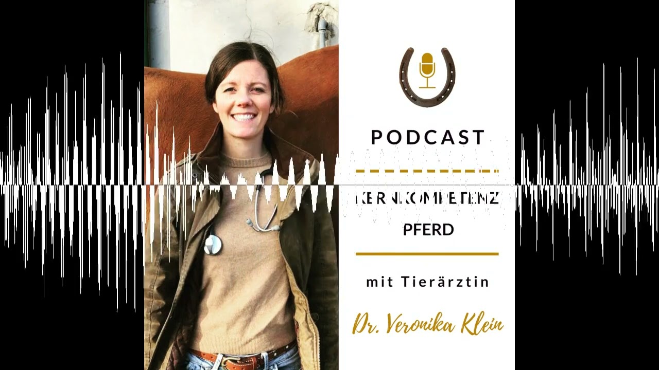 Gibt es die perfekte Pferdehaltung?
