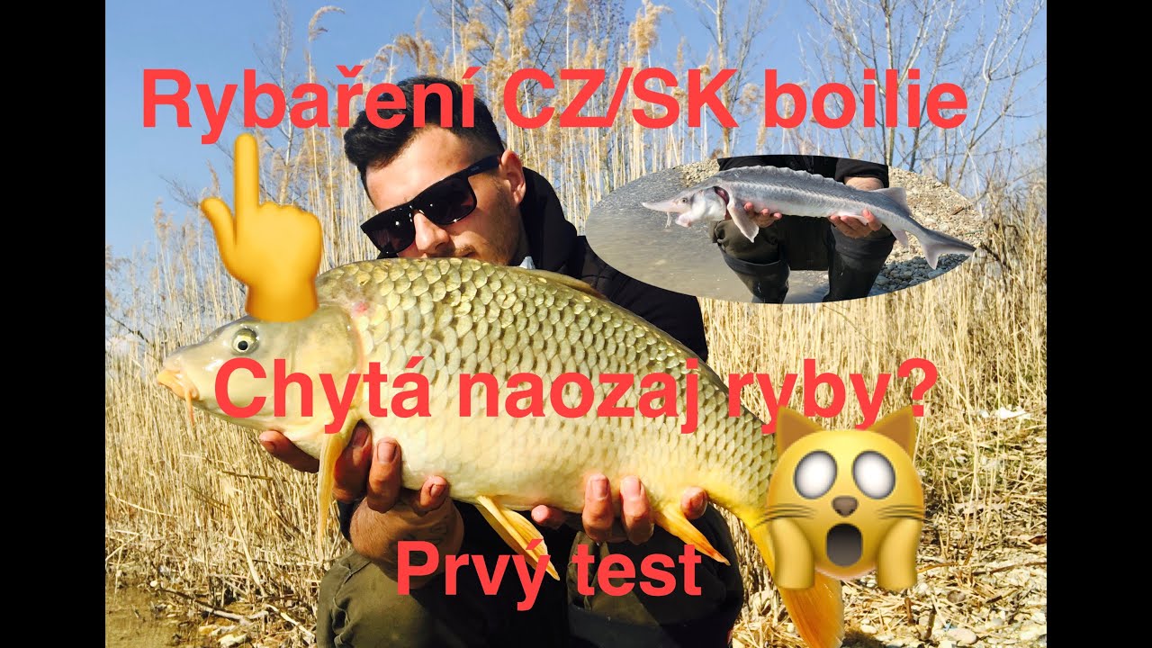Jarná kaprárina.Boilie od RybařeníCZ/SK.Lov kapra na boilie