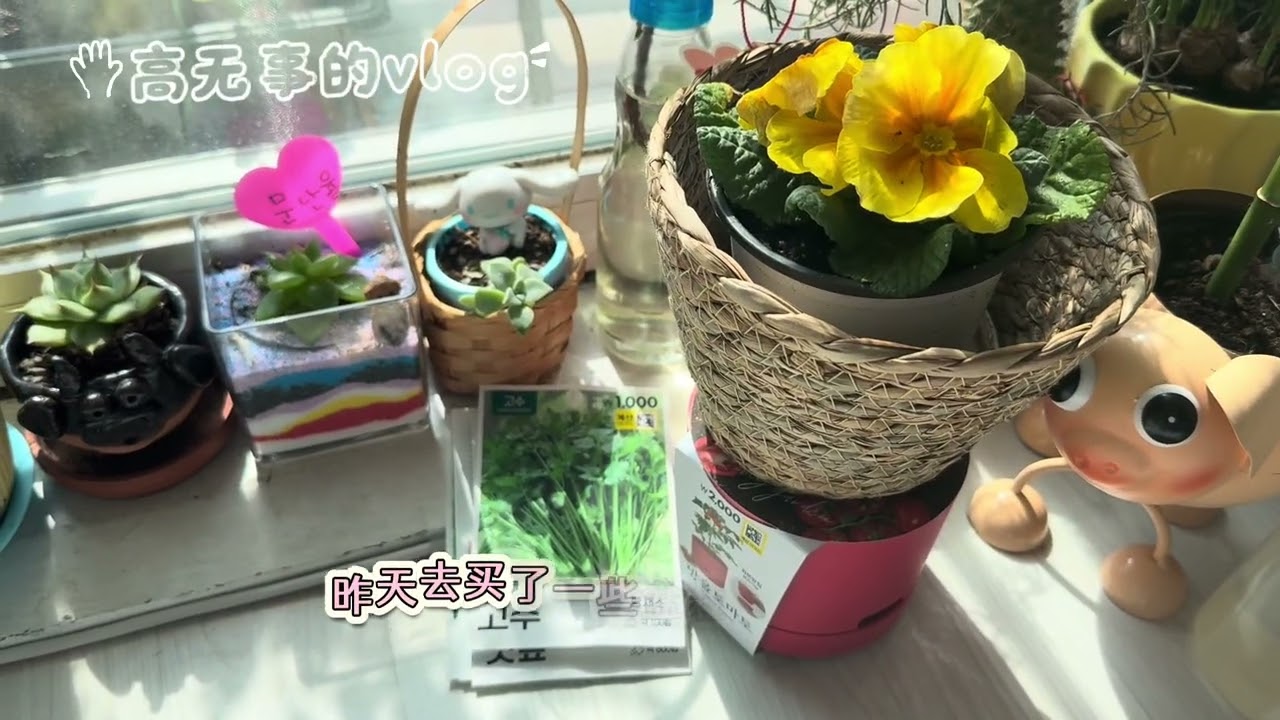 【今天也活得很漂亮🤩2026.3.9】