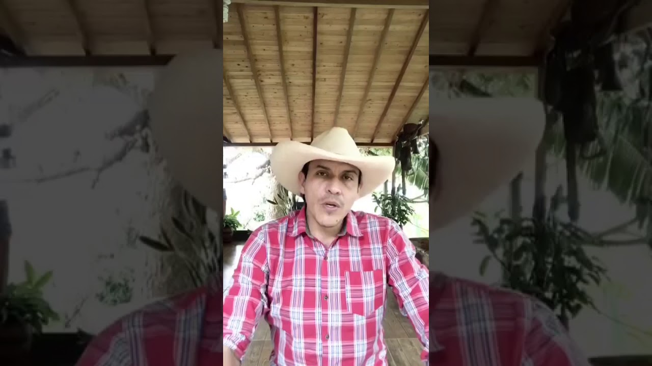 JAIME TABORDA Y SUS SEIS ELEMENTOS PARA UN MEJOR TRATO PARA TU EQUINO🐴