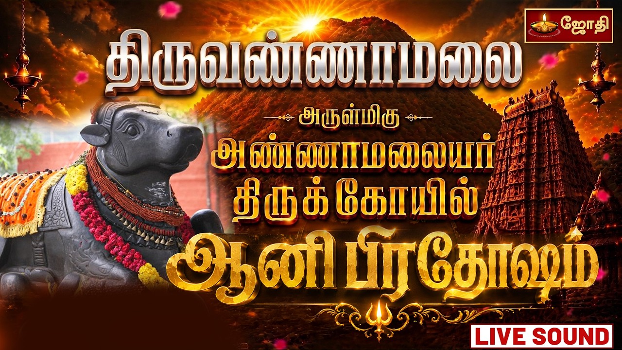 🔴LIVE: திருவண்ணாமலை அருணாச்சலேஸ்வரர் திருக்கோயில் |பிரதோஷம் வழிபாடு | Pradosham |Jothitv #livesound