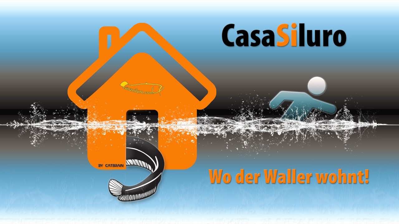 Wallerfischen bei Hochwasser - CasaSiluro - wo der Waller wohnt! Il Grande Fiume Po San Benedetto