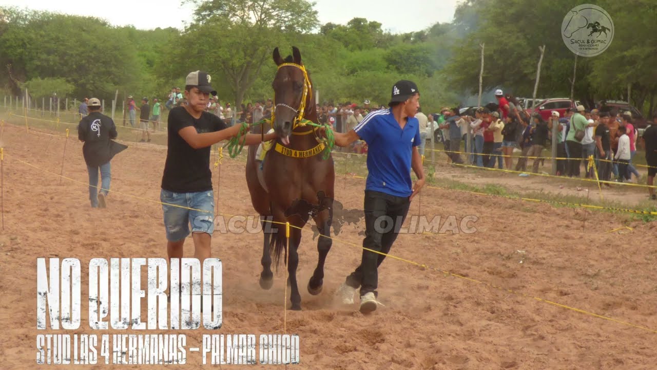 NO QUERIDO VS DON MARIO