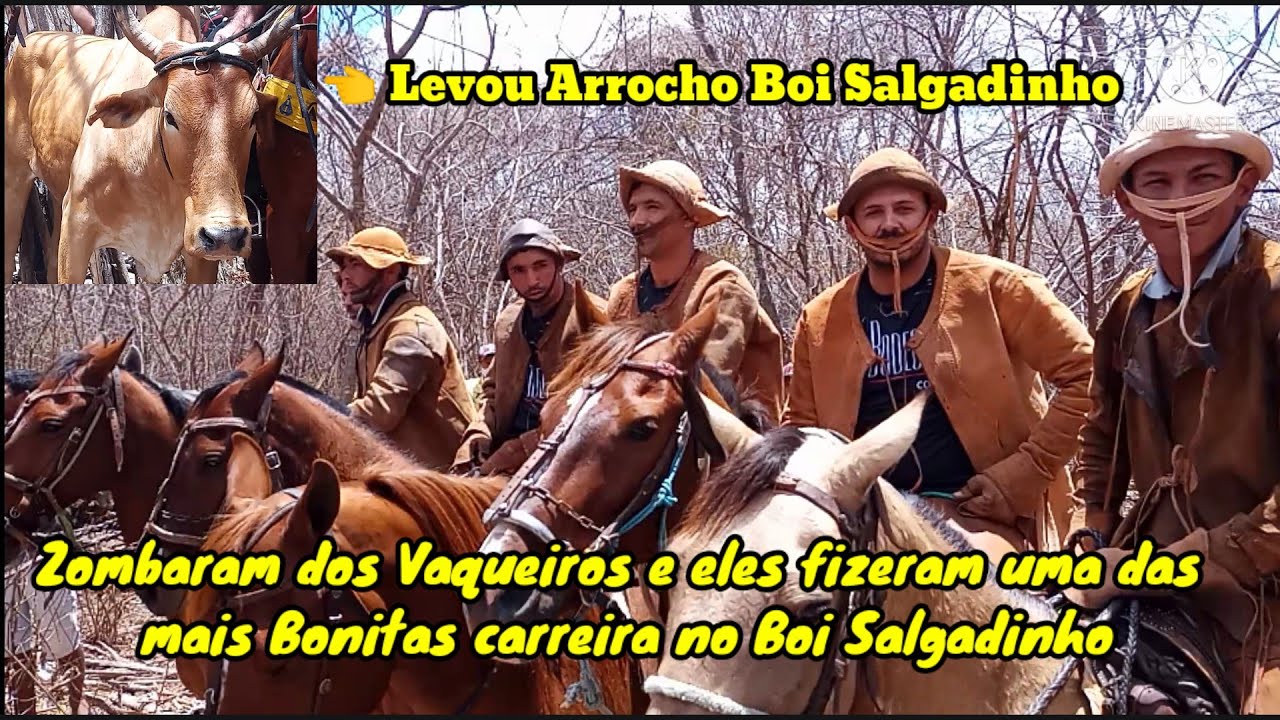 Julgaram sem conhecer os Vaqueiros do Ceará que correu Boi salgadinho / riram deles /maior carreira