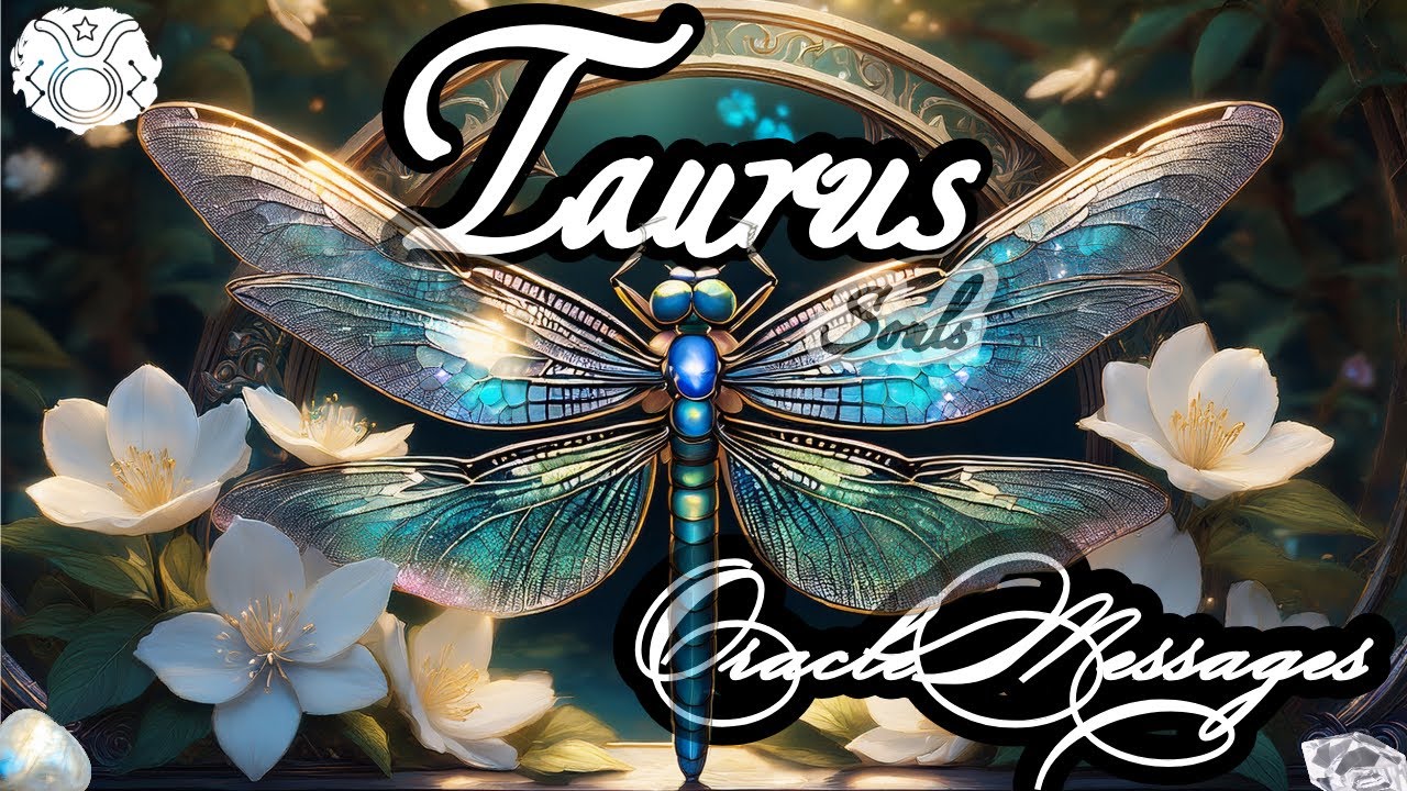 ♉Taurus |🔮A Rare Soul Contract Is Being Fulfilled | Timeless Oracle Messages