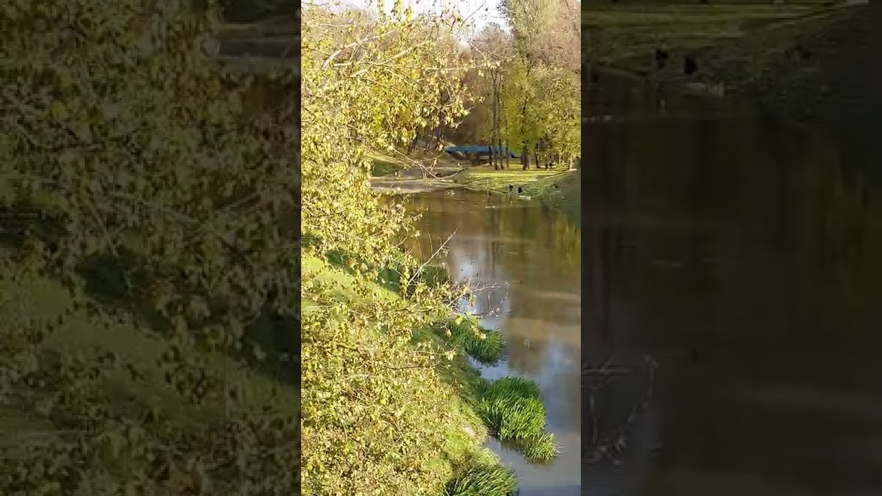 Река Витьба в Витебске