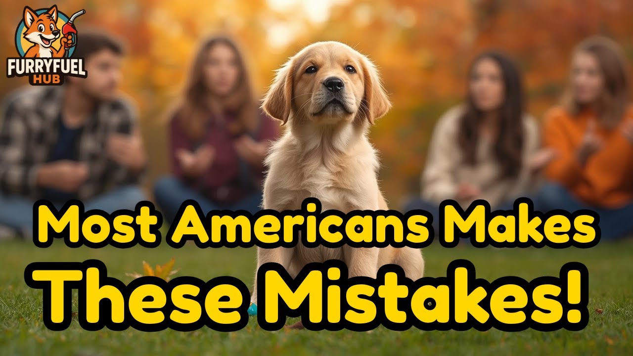 5 Common Dog Training Mistakes Most Americans Make 😬