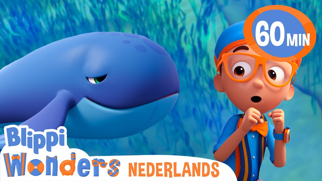 Oceaan | Blippi Wonders | Moonbug Kids Nederlands - Kindertekenfilms en Liedjes