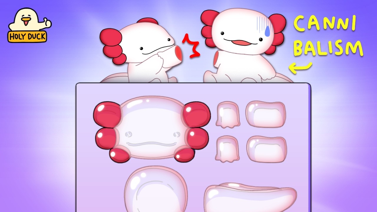 Ахолотль — это жевательный мармелад. [Popin Cookin]