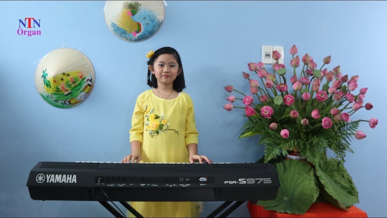Việt Nam quê hương tôi - Organ