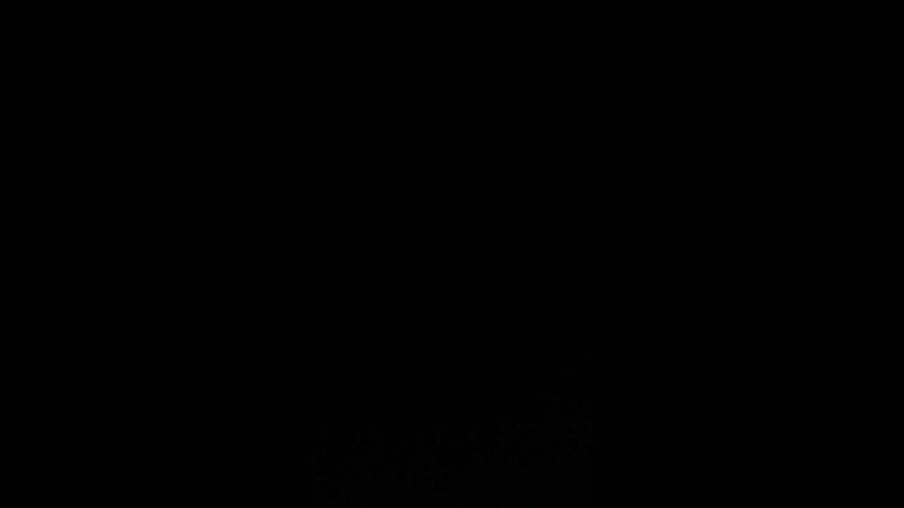 30 December 2025